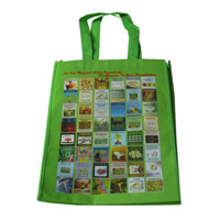 大理LB11覆膜无纺布广告袋